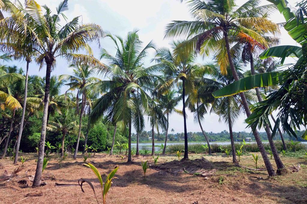 Lake County Heritage Home Kochi Buitenkant foto